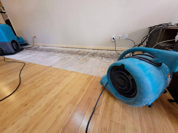 Professional Ceiling Water Damage Repair technician working in Stoutland, MO